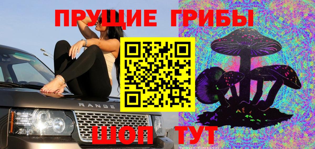 Узловая  Псилоцибиновые грибы мухоморы  Вход с VPN  Галлюциногенные грибы Cubensis 