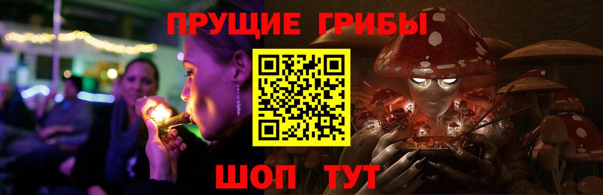 Псилоцибиновые грибы Cubensis Узловая
